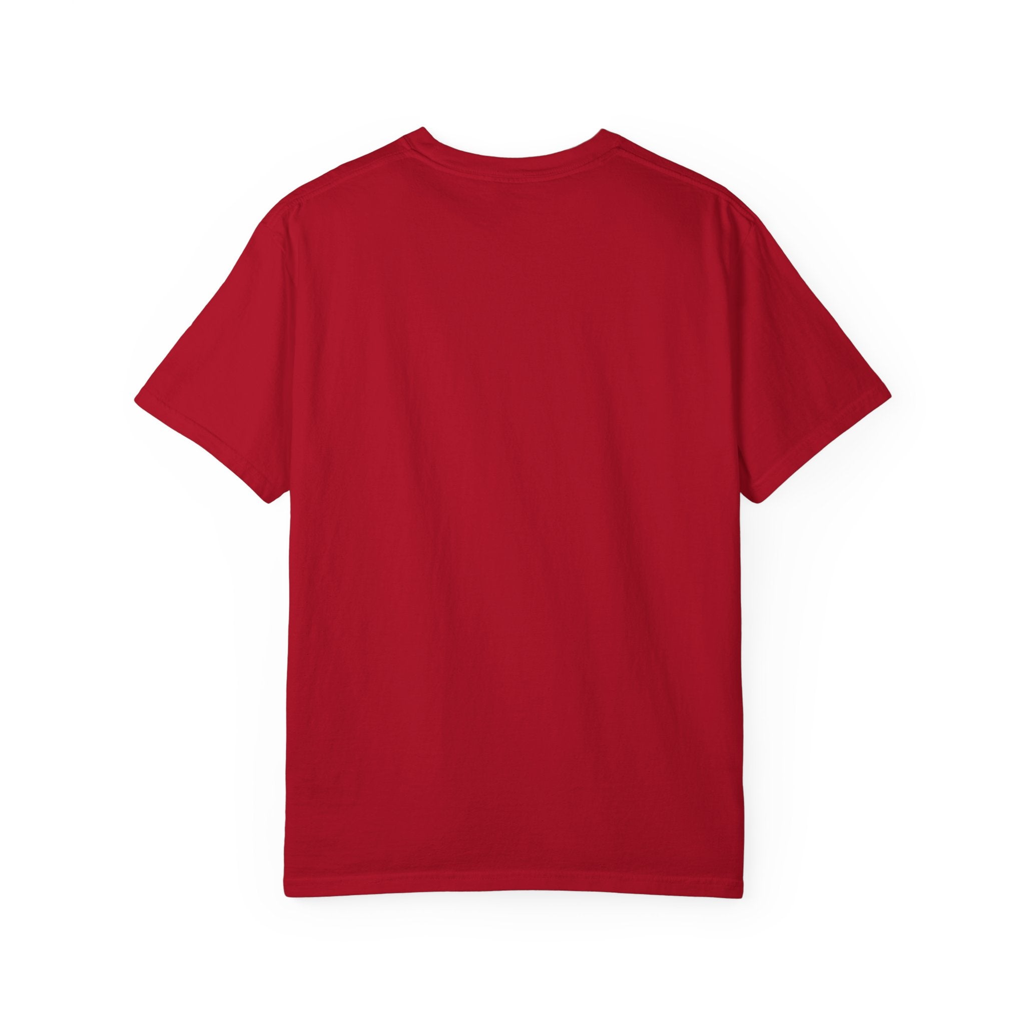Unisex Garment-Dyed T-shirt with NAMC Logo, Casual Tee, Comfortable Tee, Gift for Him/Her, Eco-Friendly Fashion